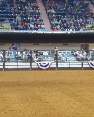 Professional Championship Bull Riders